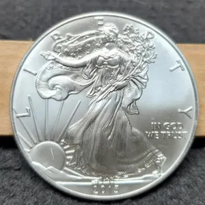 2013 Silver Eagle