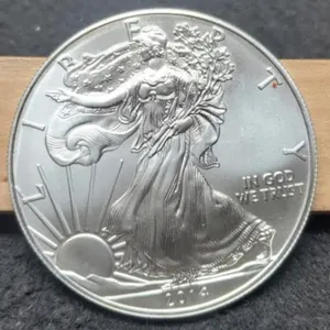 2014 Silver Eagle