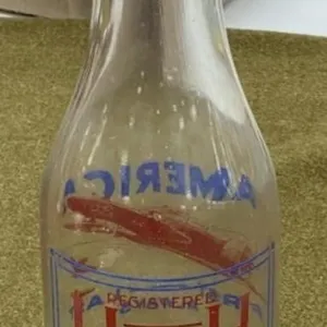 Heath Dairy Bottle - Robinson, IL