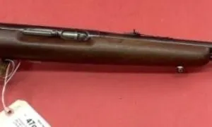 Remington 550-1 .22 SLLR Rifle