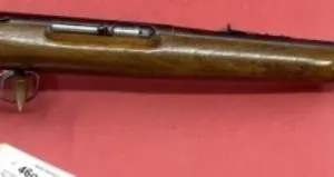 Remington 550-1 .22 SLLR Rifle