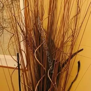 Assorted Decorative Reeds/Wood