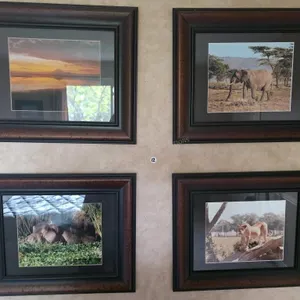 Decorative Framed African Photos