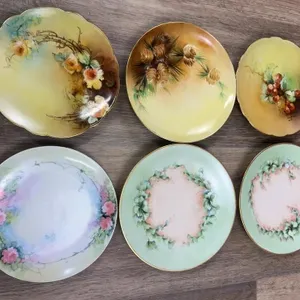 Hand Painted Bavarian and French Porcelain