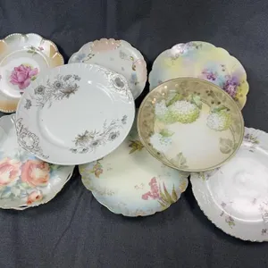 Antique German Porcelain Floral Plates RS Germany