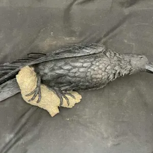 Crow Wall Hanger