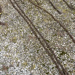 15 foot log chain