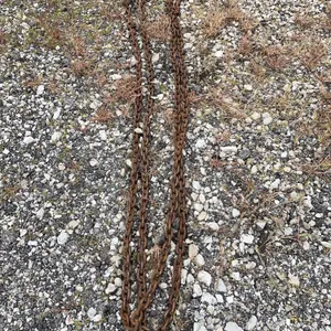 24’ log chain