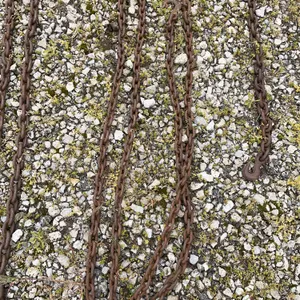 16’ log chain