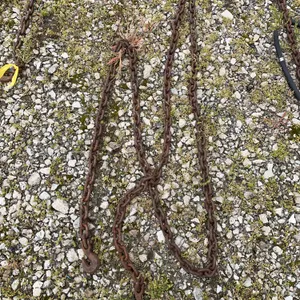 18’ log chain