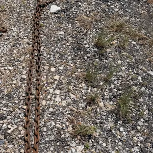 10-ft Log Chain - Broken link on one end