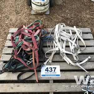 LEATHER & NYLON HALTERS & SHOW HALTERS