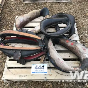 (2) OX COLLARS