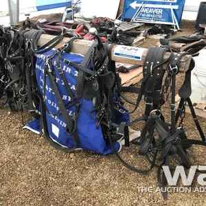 HEAVY HORSE HARNESS