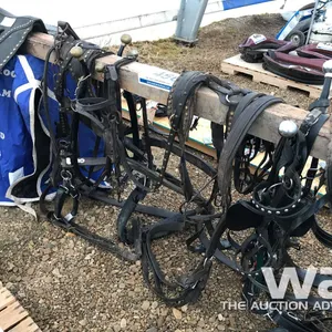 FIELD HARNESS
