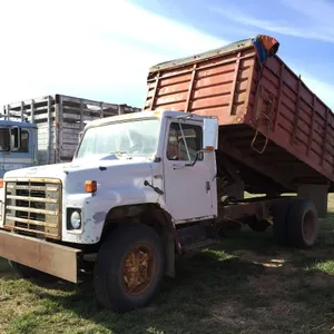 1981 IHC 1700 S/A GRAIN TRUCK