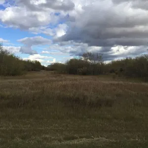 NW6-84-5-W6, 160 ACRES TOTAL