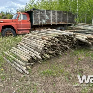 QTY OF ASSORTED 5-6 FT TREATED FENCE POST