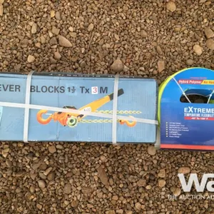 1.5 TON CHAIN HOIST & 50 FT. 3/8" AIR HOSE