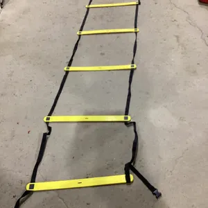 EVERLAST TRAINING LADDER