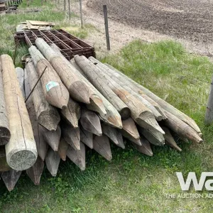 (35) 6 & 8 FT TREATED FENCE POSTS