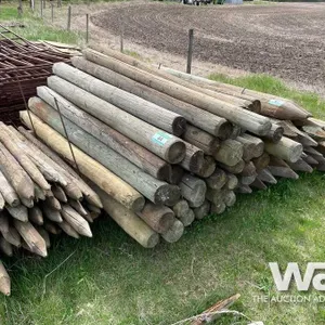 (44) 8 FT TREATED FENCE POSTS