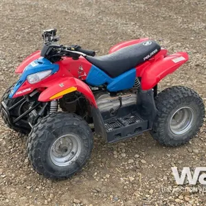 2011 POLARIS KIDS ATV