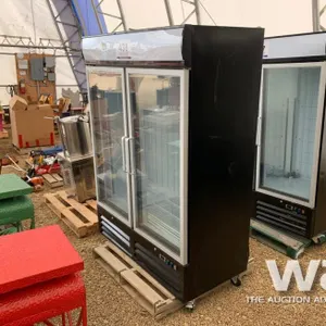 ECO STAR DG-48F UPRIGHT FREEZER