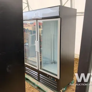 ECO STAR DG-48F UPRIGHT FREEZER