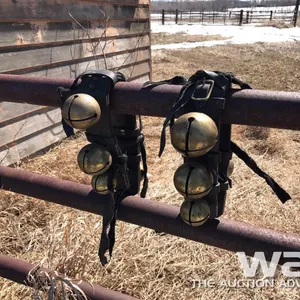 HARNESS BELLS