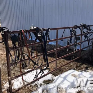 DRIVING HARNESS, BRIDLES