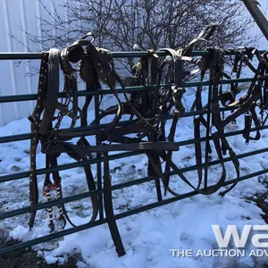 TEAM HARNESS, BRIDLES