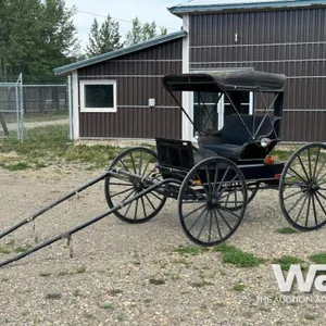 COVERED DOCTOR'S CARRIAGE