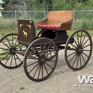 DOCTOR'S CARRIAGE