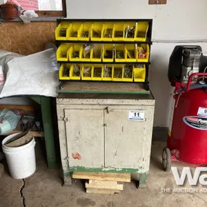 TOOL CABINET W/ BIN ORGANIZER