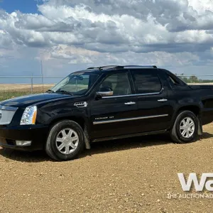 2008 CADILLAC ESCALADE SPORTS UTILITY VEHICLE