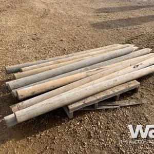 (10) FENCE POSTS