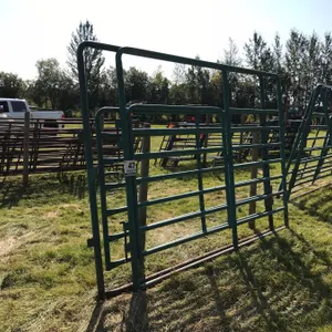 MORAND 10 FT. GATE