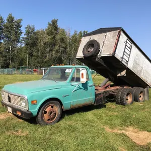 CHEV 30 T/A TRUCK