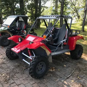 TOMCAR SIDE BY SIDE ATV