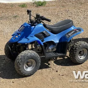 2006 MINI ATV