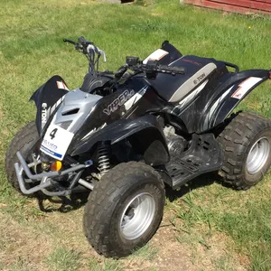 VIPER E-TON 90 2WD MINI ATV