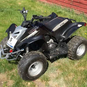 VIPER E-TON 90 2WD MINI ATV