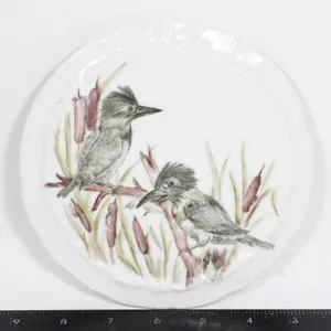 THE BELTED KINGFISHERS