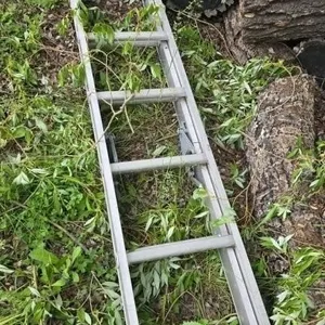 14' Extension ladder