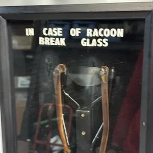 In case of Racoon Break Glass Sling shot