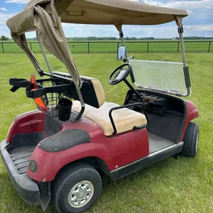 Golf Cart with Gas Engine in Great Running Condition, Shedded