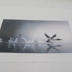 "Into The Mist" By Don Li-Leger