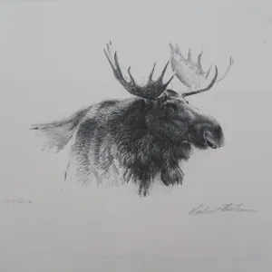 Robert Bateman Moose Sketch Print