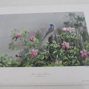 "Morning Light - Bluebird" By Susan Bourdet